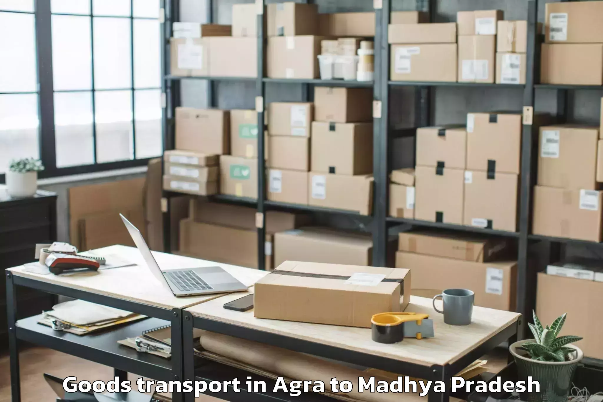 Professional Agra to Nepanagar Goods Transport